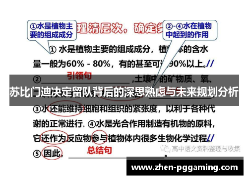 苏比门迪决定留队背后的深思熟虑与未来规划分析