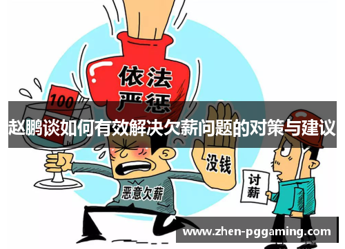 赵鹏谈如何有效解决欠薪问题的对策与建议