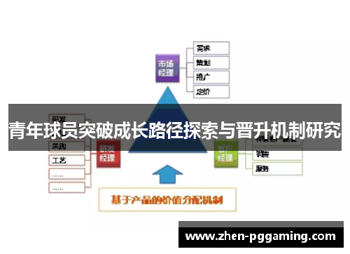 青年球员突破成长路径探索与晋升机制研究