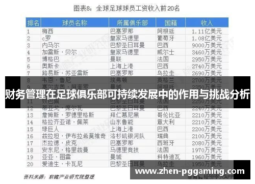 财务管理在足球俱乐部可持续发展中的作用与挑战分析