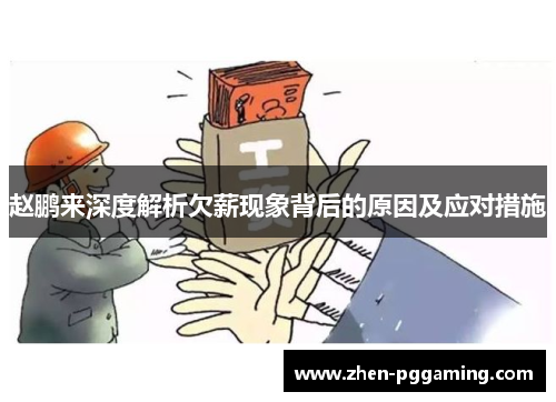 赵鹏来深度解析欠薪现象背后的原因及应对措施