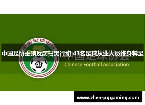 中国足协重磅反腐扫黑行动 43名足球从业人员终身禁足