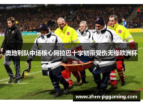 奥地利队中场核心阿拉巴十字韧带受伤无缘欧洲杯